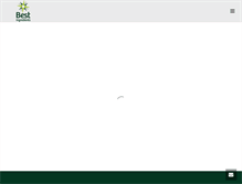 Tablet Screenshot of bestingredientsmexico.com